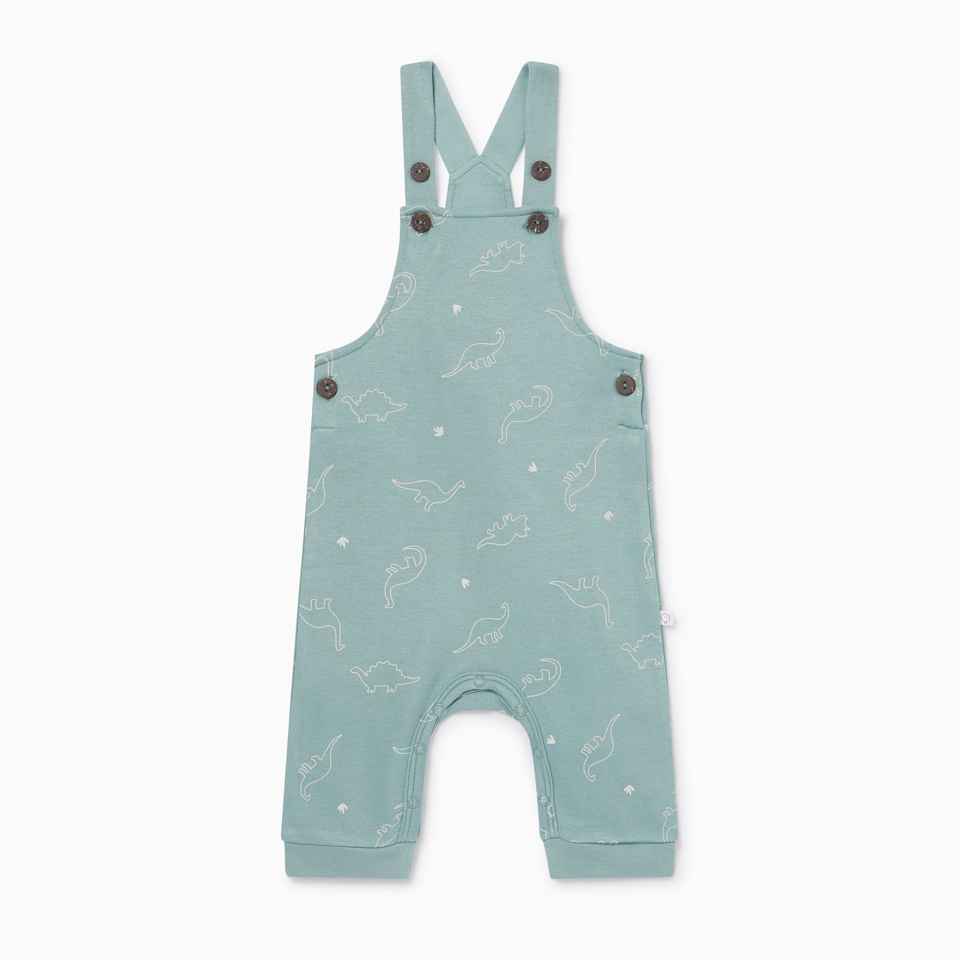 Dino Print Dungarees
