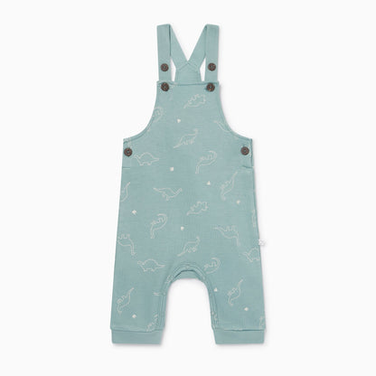 Dino Print Dungarees