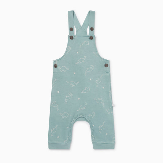 Dino Print Dungarees
