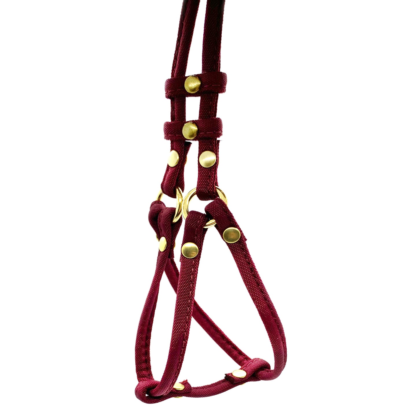 Dog Bar Brass Step-In Nylon Dog Harness w/ Leash