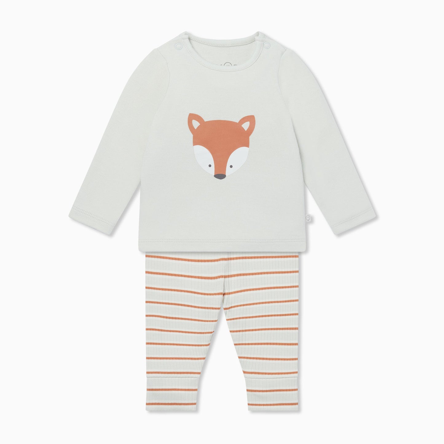 Fox T-Shirt & Striped Ribbed Leggings Outfit