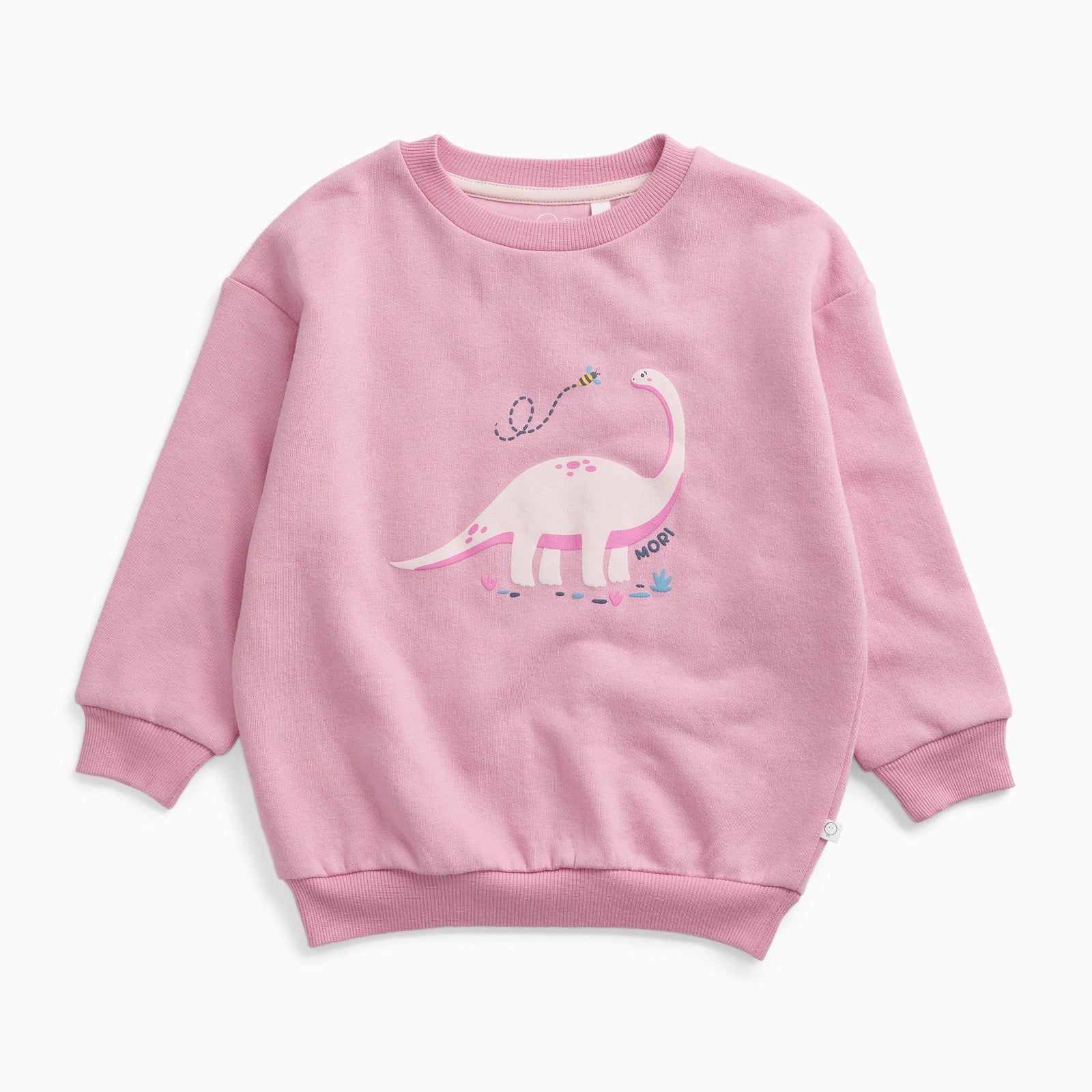Brachiosaurus Dinosaur Oversized Sweatshirt