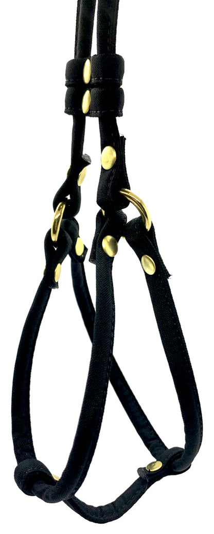Dog Bar Brass Step-In Nylon Dog Harness w/ Leash