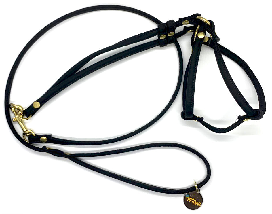 Dog Bar Brass Step-In Nylon Dog Harness w/ Leash