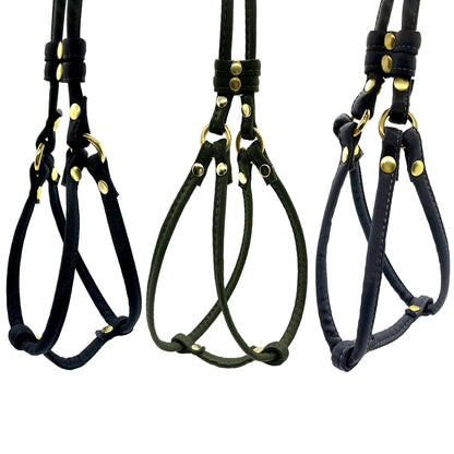 Dog Bar Brass Step-In Nylon Dog Harness w/ Leash