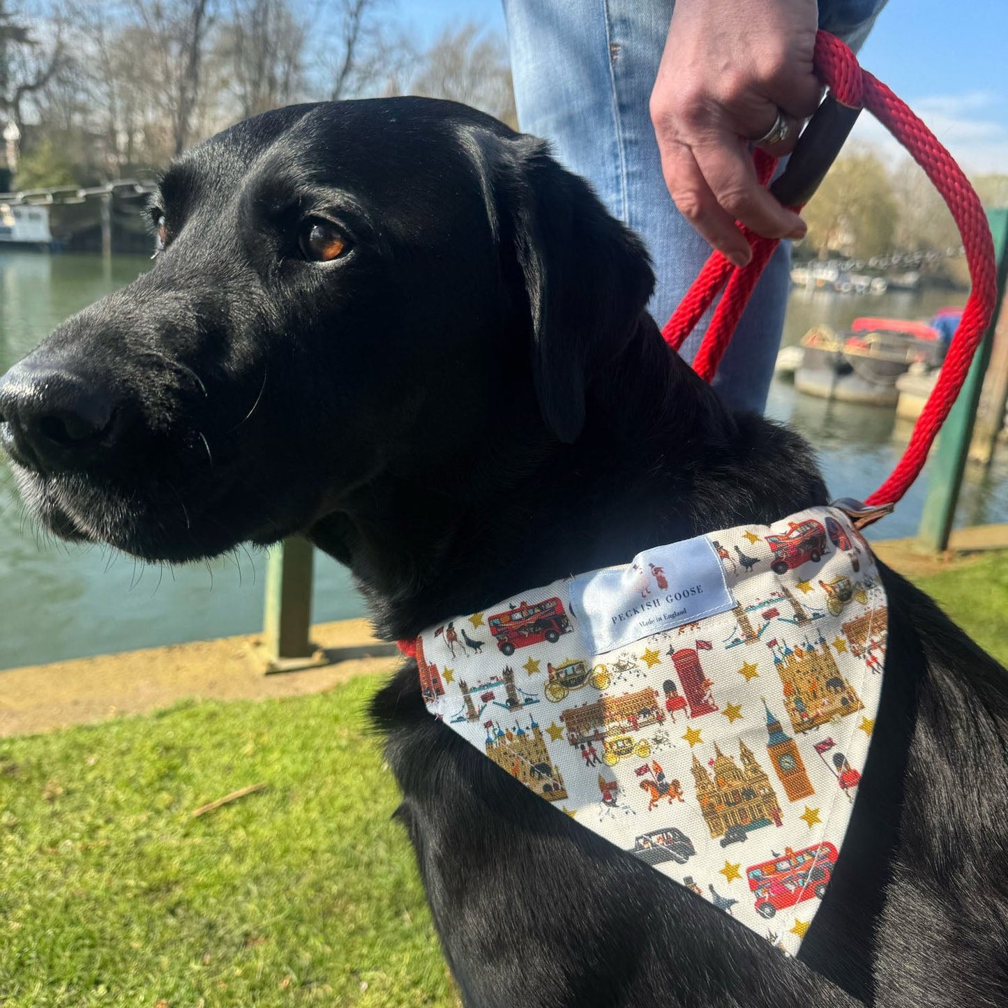 Peckish Goose London Dog Bandana