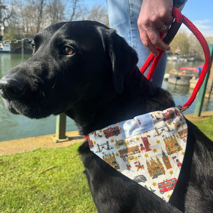 Peckish Goose London Dog Bandana