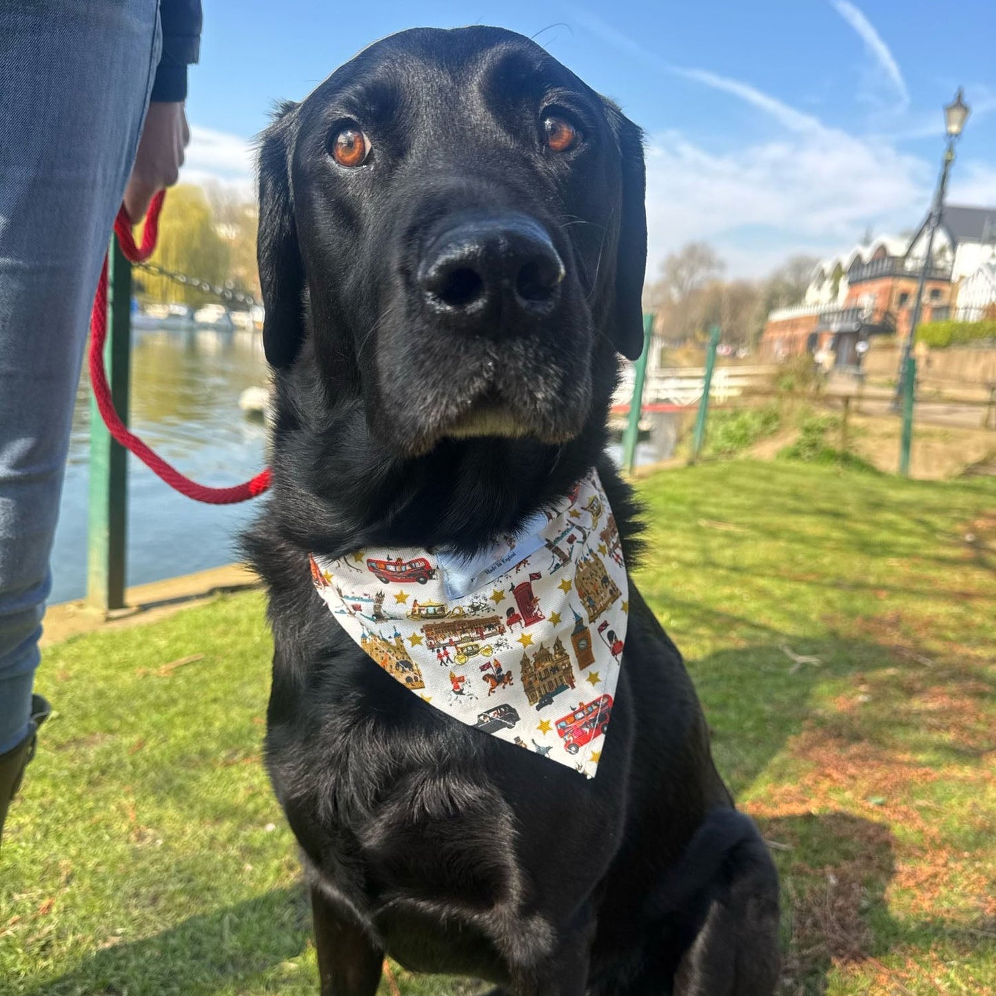 Peckish Goose London Dog Bandana