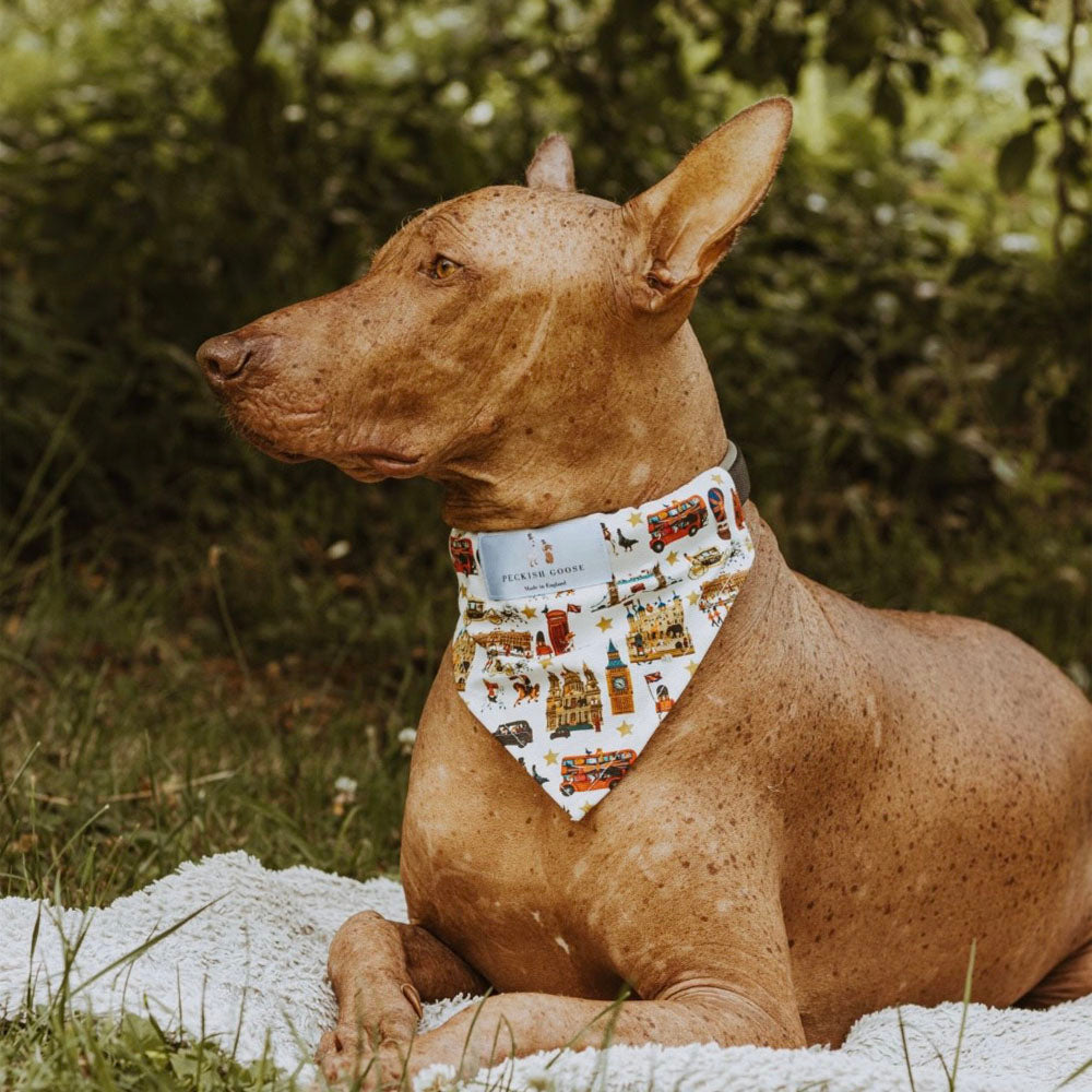 Peckish Goose London Dog Bandana