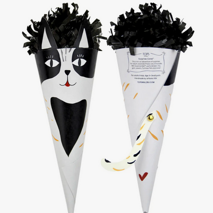 Character Surprize Cones