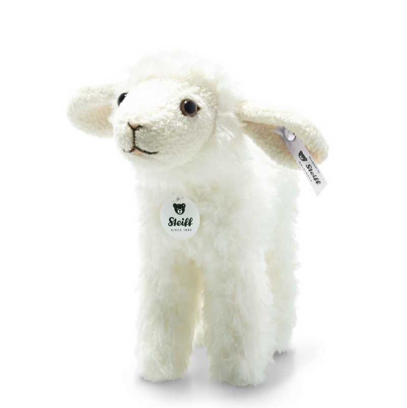 Anni Lamb