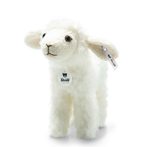 Anni Lamb