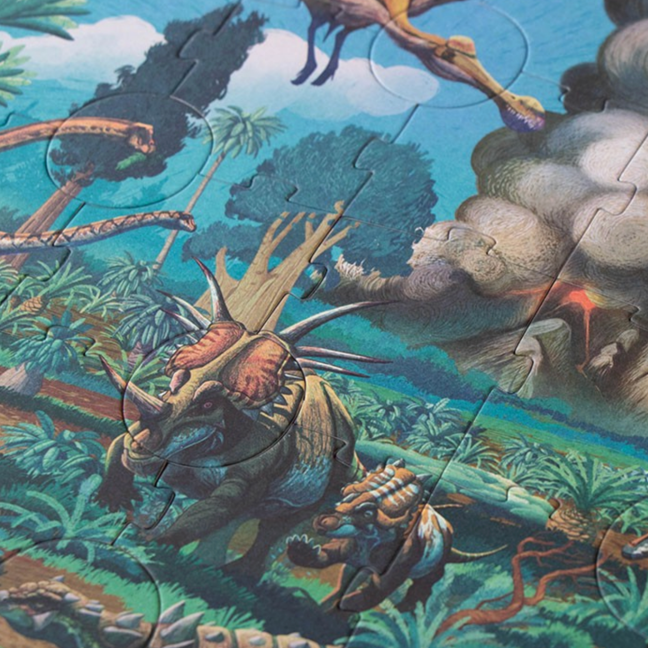 Age of Dinosaurs Puzzle