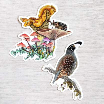 California Quail sticker