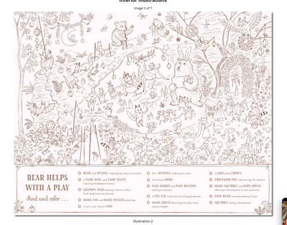 Brown Bear Wood: A Search-and-Find Coloring Book: Over 100 Things to find