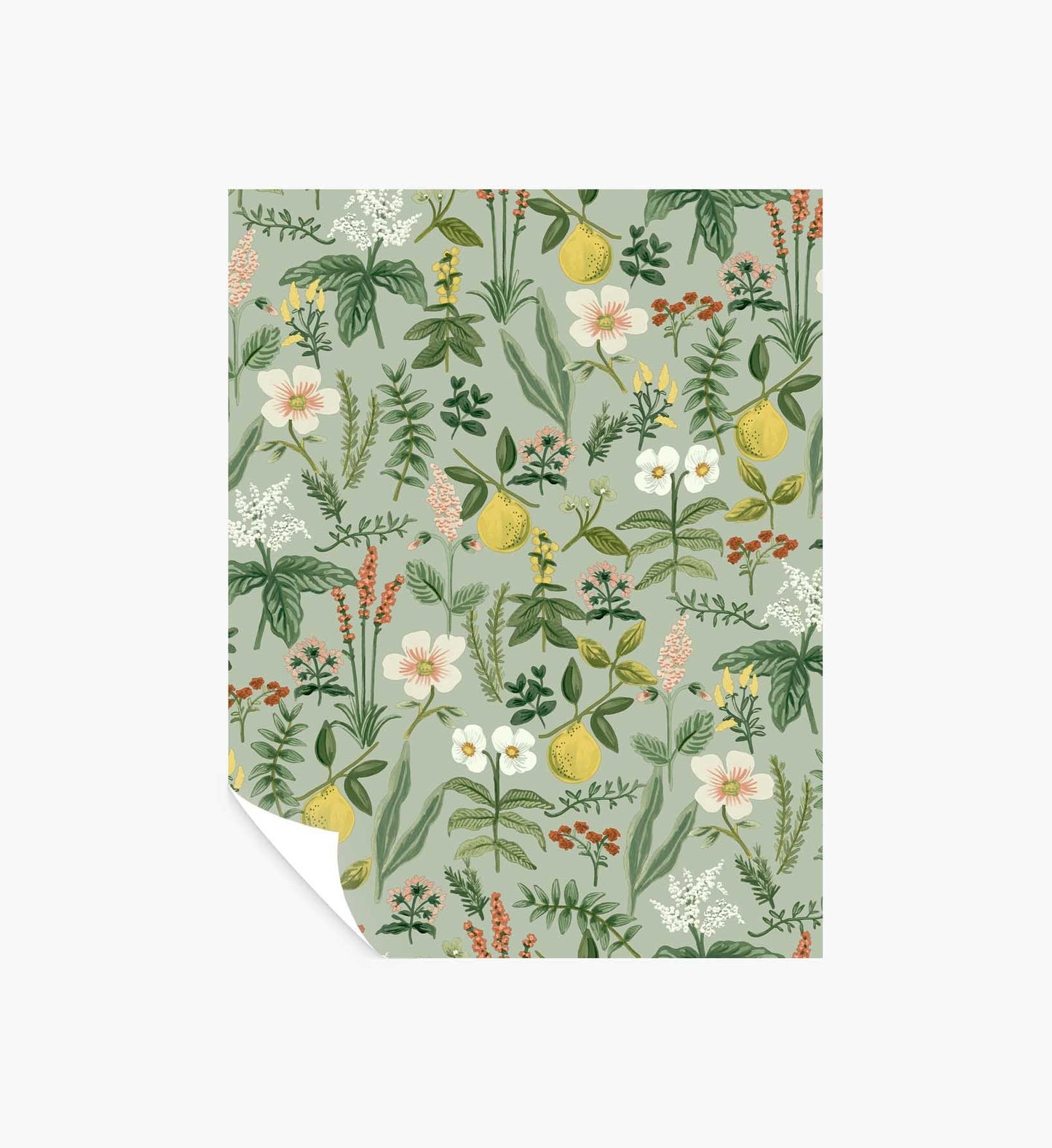 Herb Garden Peel & Stick Wallpaper Sample - Sage