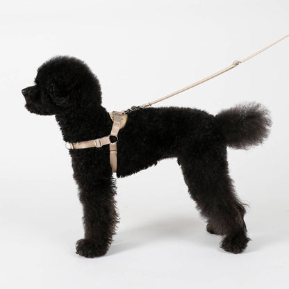Hozi - Horsebit Harness : Black