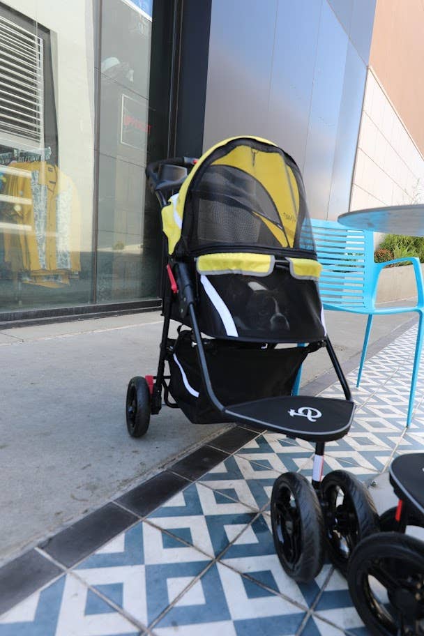 Petique, Inc - Revolutionary Pet Stroller for Dogs and Cats