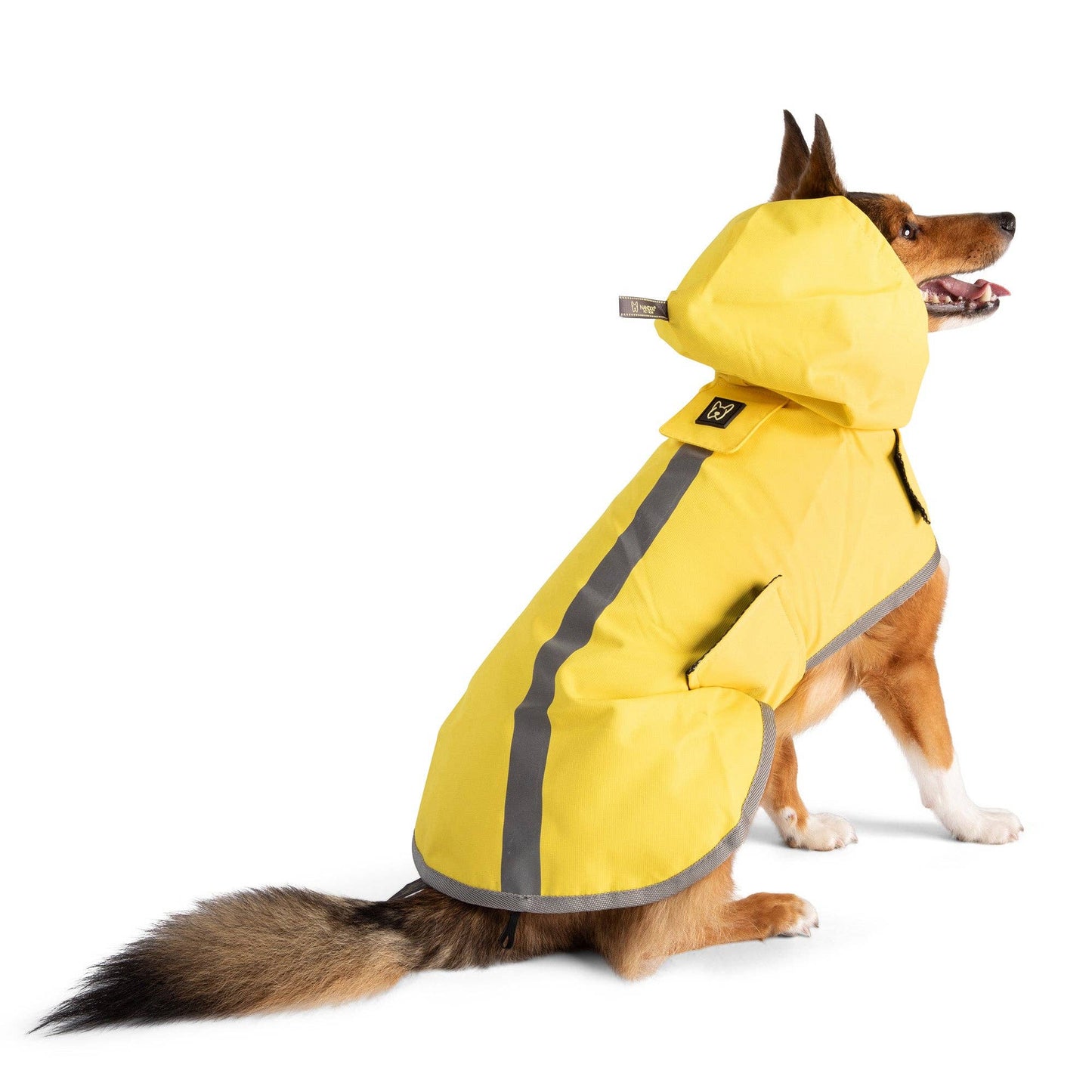 Nandog Pet Gear - Rain Coat Nandog Sport Collection: XS