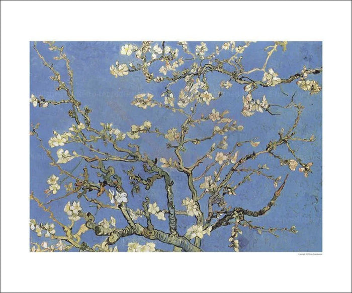 Almond tree, Vincent Van Gogh - VINTAGEARTREPRINTS.COM