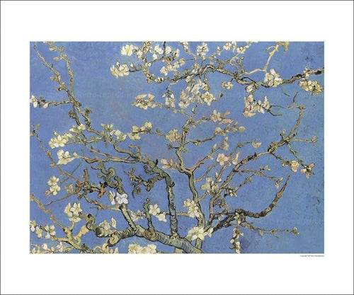 Almond tree, Vincent Van Gogh - VINTAGEARTREPRINTS.COM