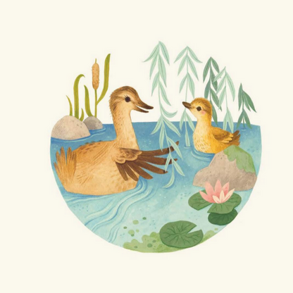 Bunny Roo and Duckling Too (0-3yrs)