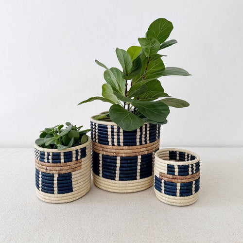Bamba Sweetgrass Basket-Assorted Sizes- Sold Individually