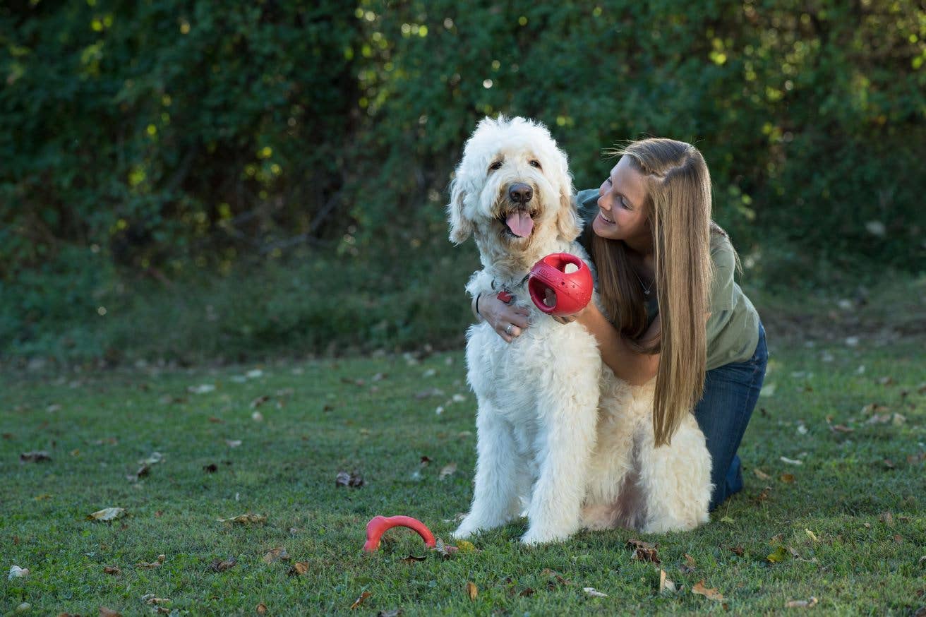 Caitec Inc - Squeakables Kettle Ball Dog Toy – HERO