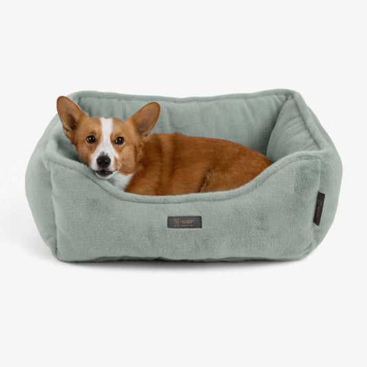 Nandog Pet Gear - The Dream ONE Bed in Paris Green