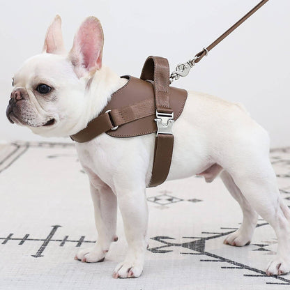 Hozi - Saddle Harness : Pink