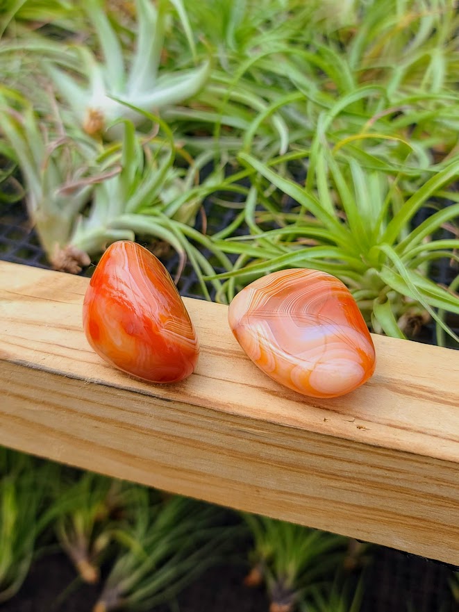 Carnelian Crystal Palm Stone