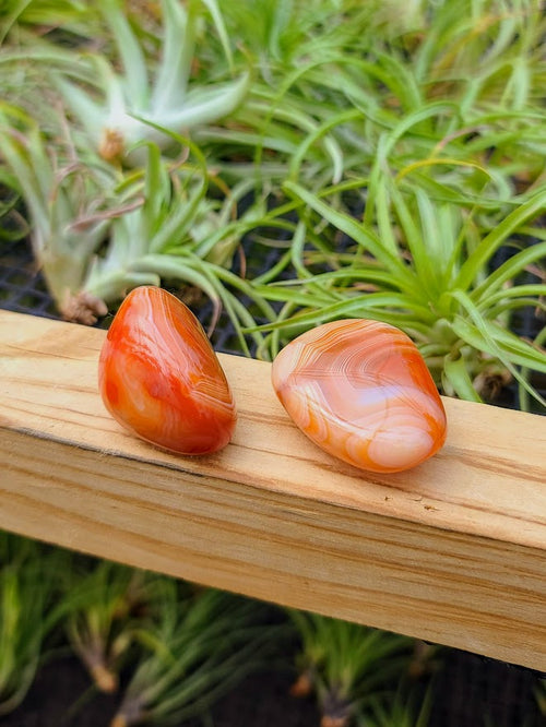 Carnelian Crystal Palm Stone