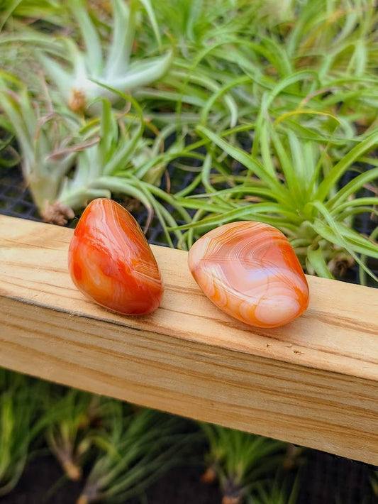 Carnelian Crystal Palm Stone