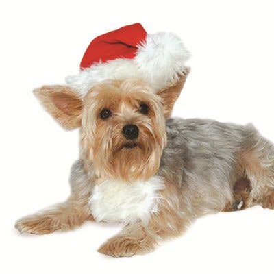 Dogo Pet - Santa Hat: S