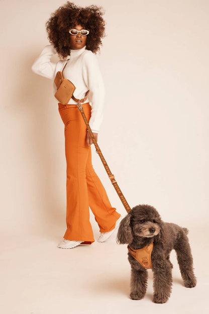 maxbone - GO! With Ease Hands-Free Leash for Dogs