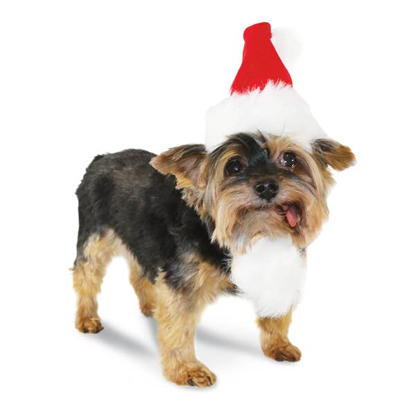 Dogo Pet - Santa Hat: S