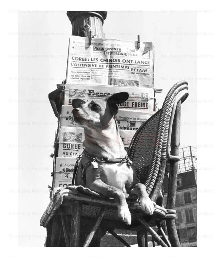 Dog sells French newspapers - VINTAGEARTREPRINTS.COM