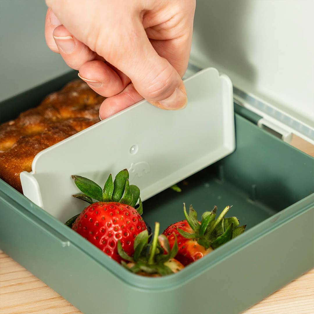 Done by Deer Lunch Box With Divider - Tiny Trails Green