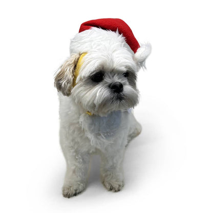 Dogo Pet - Santa Hat: S