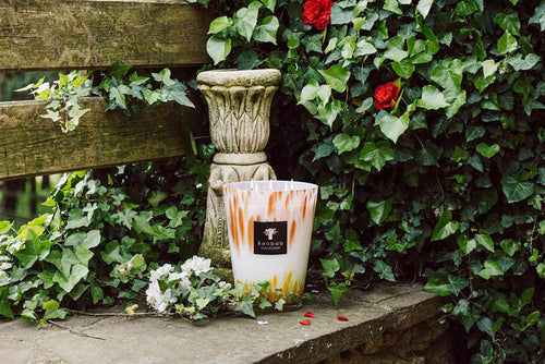 Garden Eden Fragrance Collection