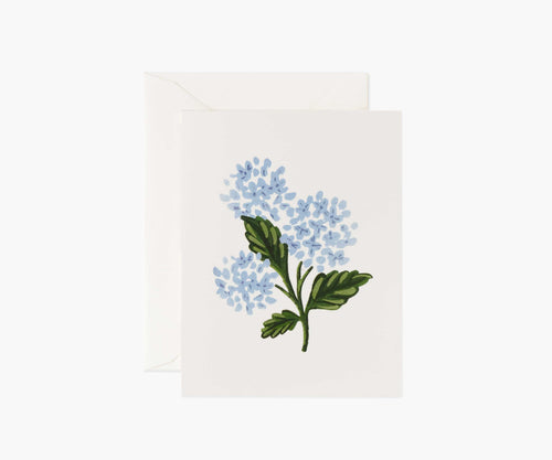 Hydrangea Bloom Everyday Card - Single Card