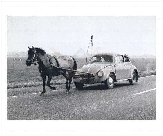 Horse-drawn VW Bug - VINTAGEARTREPRINTS.COM