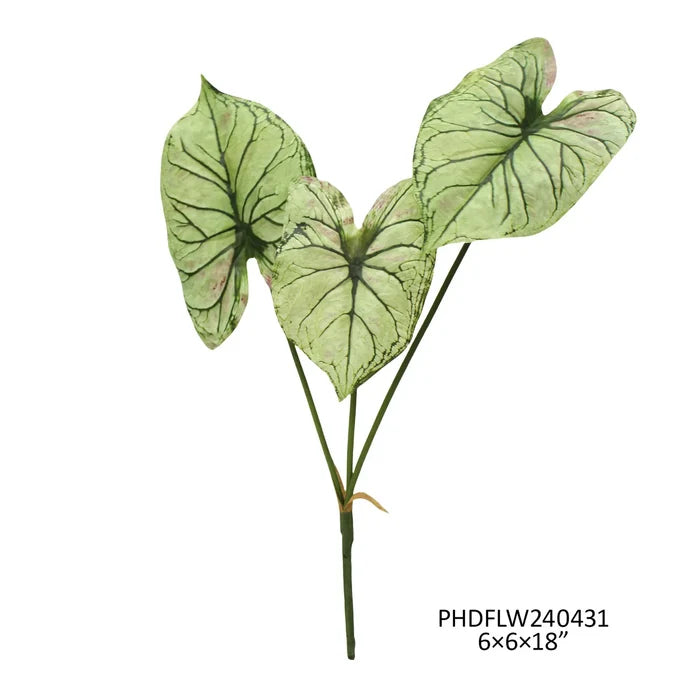 Light Green Caladium Stem