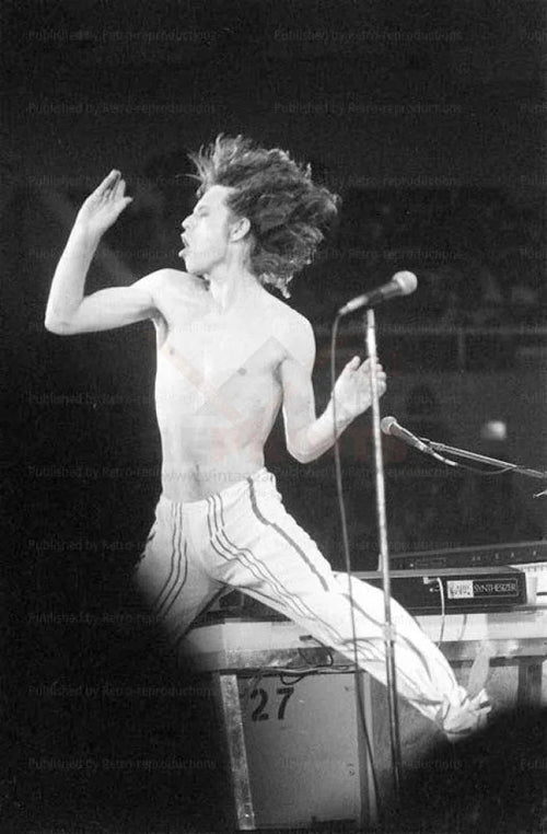 Mick Jagger Flies High - VINTAGEARTREPRINTS.COM