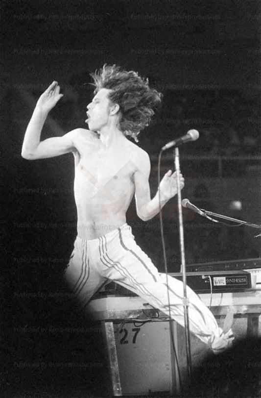 Mick Jagger Flies High - VINTAGEARTREPRINTS.COM