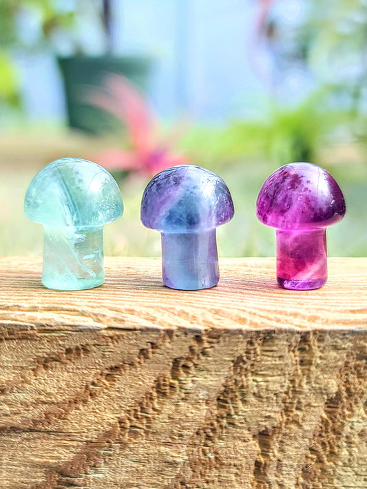 Mini Fluorite Crystal Mushroom