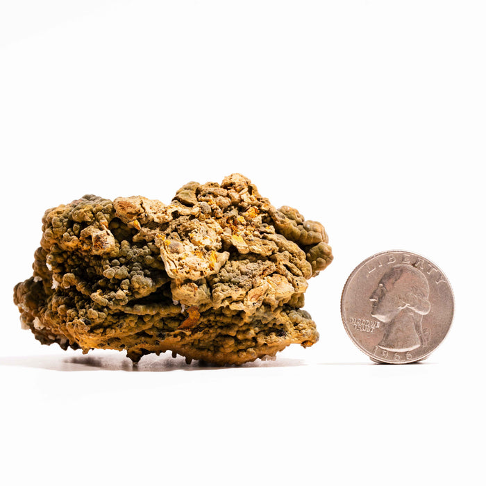 Mottramite Specimen