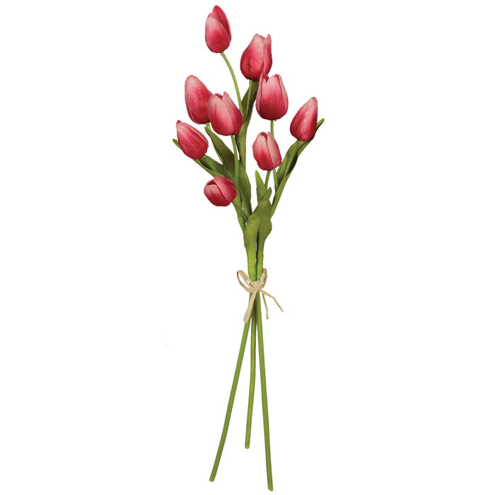 Pink Tulip Bundle