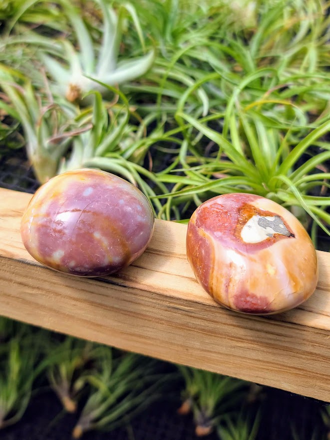 Polychrome Jasper Crystal Palm Stone