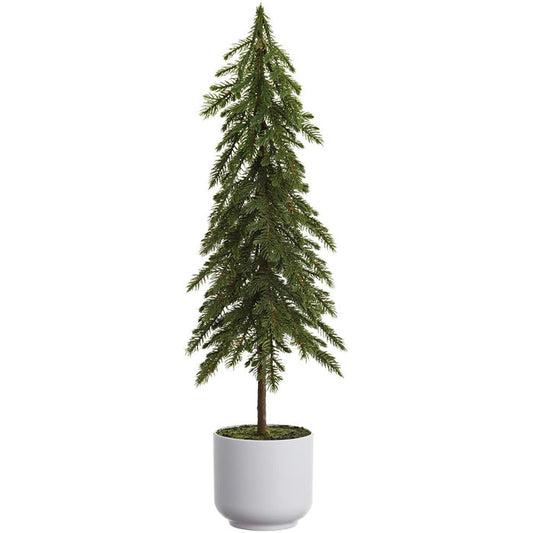 Potted Pine Tree